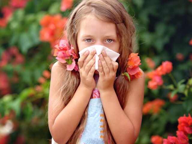 Everything You Need to Know About Allergies